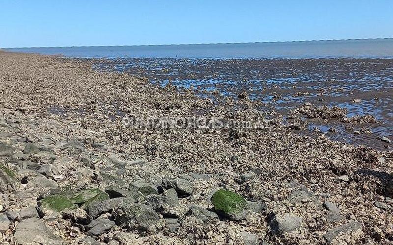 “Las otras de Arroyo Pareja están contaminadas, por eso sería importante hacer un estudio de la calidad del agua”